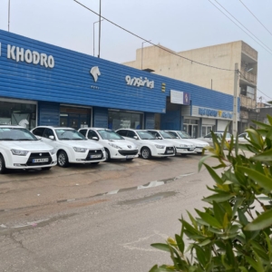 محصول نمونه 1