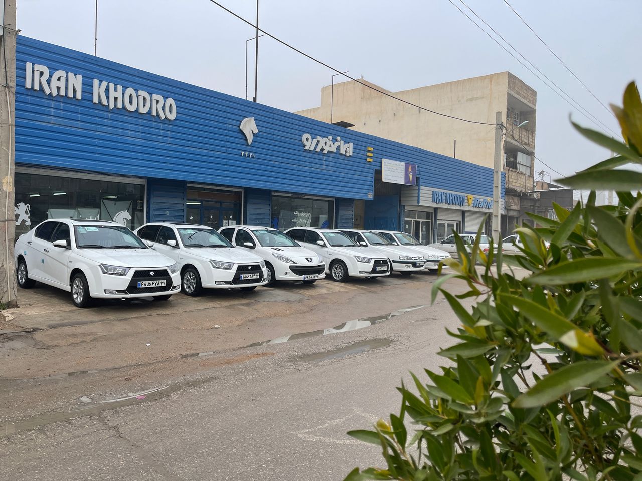 محصول نمونه 1